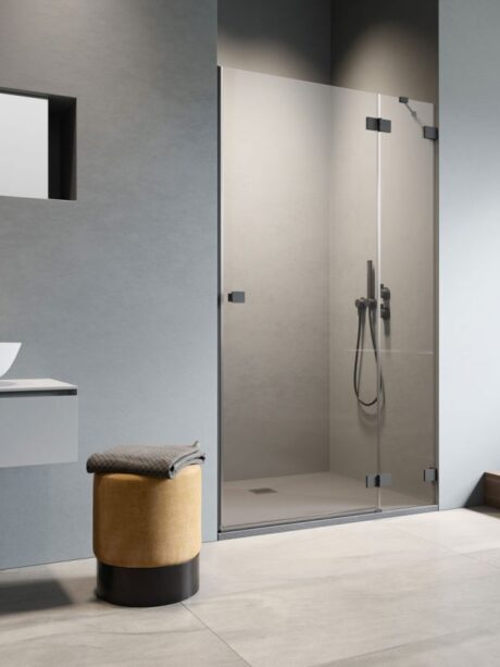 Дверь в нишу для душа Essenza Pro 6 Black DWJ