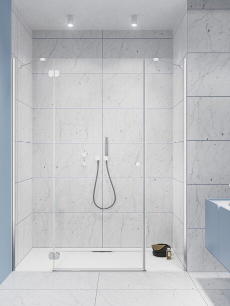 Двери в душевую нишу Torrenta DWJS